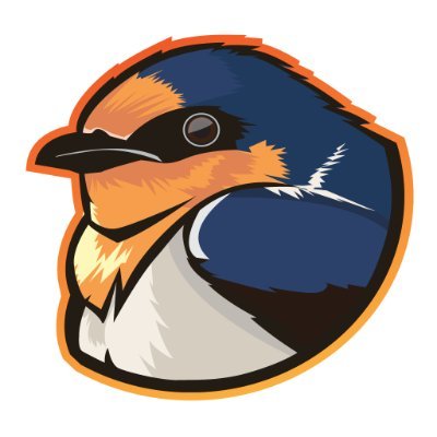 PBP caster for Valorant, Dota 2 and AOE4. Continuing to branch out. Tabletop enthusiast with too many board games.