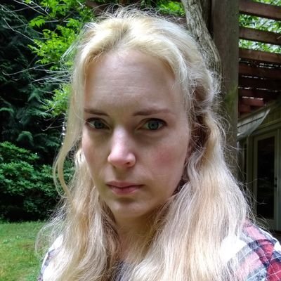 Writing my first novel titled THE VIKING SWORD. Time travel saga to 10th century Norway. #histfic