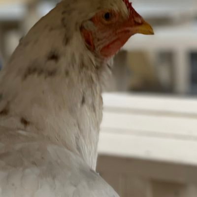 よんいちろうさんのプロフィール画像
