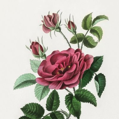 Homebookandtre1's profile picture. Junk journal and supplies. I carry beautiful unique journals.