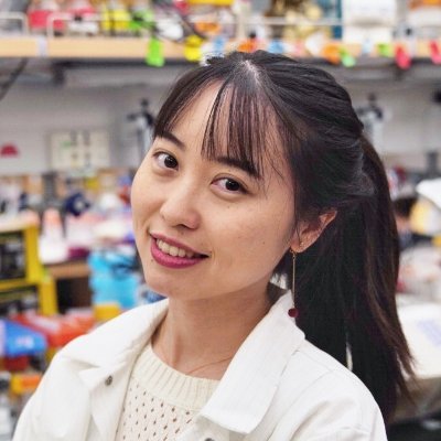 Wanlu Liu Profile