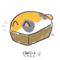 쥬금 (๑⃙⃘·́ω·̀๑⃙⃘)੨੨ (@joo_chee) 's Twitter Profile Photo