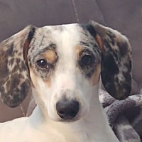 Michael V. !Ghost's Dad! Smith🇺🇦🌻#NAFO (@michaelvsmith3) 's Twitter Profile Photo