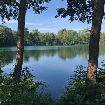 alexloecherer's profile picture. 