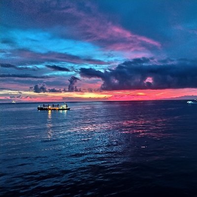 Alejand36194430's profile picture. Deporte