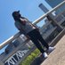 Gold & Locs (@schoolboypopo) Twitter profile photo Gold & Locs (@schoolboypopo) Twitter profile photo