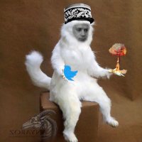 Chase (@chalexthegreat) 's Twitter Profile