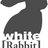 GuaiRabbi's profile image