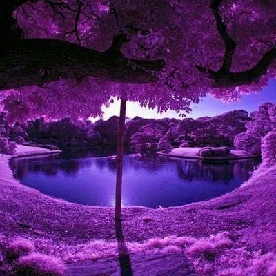 Gkioul3's profile picture. 