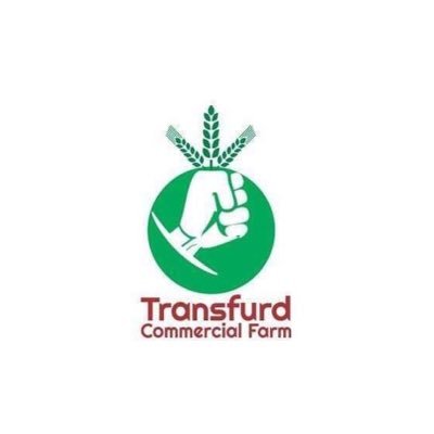 FOREMOST YOUTH LED AGRO-BIZ. Rice, Maize and Cassava Farming/Processing, Empowering farmers, Coconut Garri, Ofada & Odourless Fufu, Land Sales and lease.