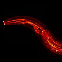 BoxemLab (@boxemlab) 's Twitter Profile Photo BoxemLab (@boxemlab) 's Twitter Profile Photo