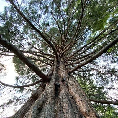 JJS10987's profile picture. It’s just me.