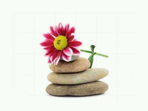 willagriffin's profile picture. 