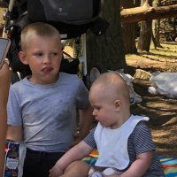 reds (@david68496966) 's Twitter Profile