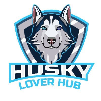 Husky are not our whole life, but they make our lives whole

#husky | #huskylover | #huskydog