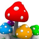 Casper Morris - @caspermorris13 - Twitter