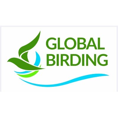 global_birding Profile Picture