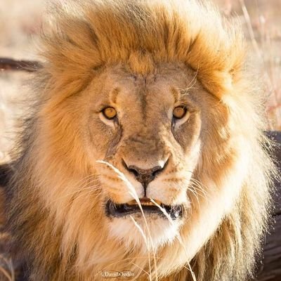 ElekwaDelight's profile picture. simplicity