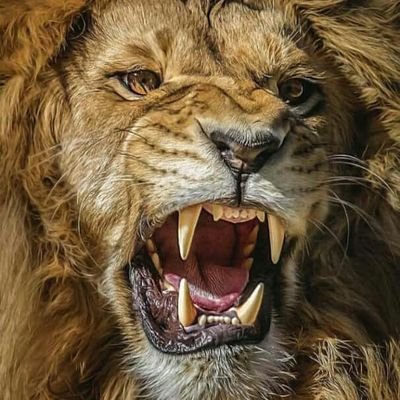 israelszn's profile picture. Just to catch cruise jare😂😍❤