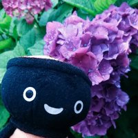 おいでよ盛岡 その先の未来に (@oideyo_morioka) 's Twitter Profile Photo おいでよ盛岡 その先の未来に (@oideyo_morioka) 's Twitter Profile Photo
