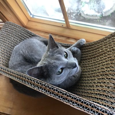 shijiminclub's profile picture. NO 軽井沢 NO LIFE ！😘全てのポストは妄想です😂