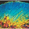 JEndocrinology's profile picture. Publishing basic and translational studies on #endocrine #physiology and #metabolism. From @Soc_Endo & @Bioscientifica and the official journal of @EndoSocAus.