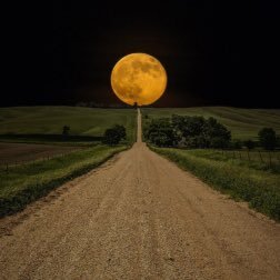 jmkjr2's profile picture. Just a bruh tryin to figure it out