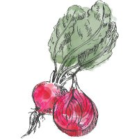 5aDayBox (@5adaybox) 's Twitter Profile Photo