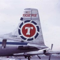 flying tiger (@flyingt56381569) 's Twitter Profile