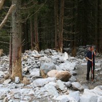 Christian Scheidl (@chscheidl) 's Twitter Profile