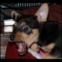 Sam Britton - @sammy_brit - Twitter