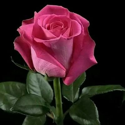 WathanM54837230's profile picture. Energy is important.