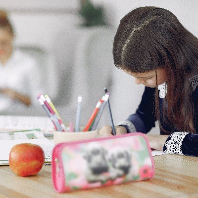WE BRING FABULOUS ONLINE TUTORING TO NYC STUDENTS AT A FRACTION OF THE COST
