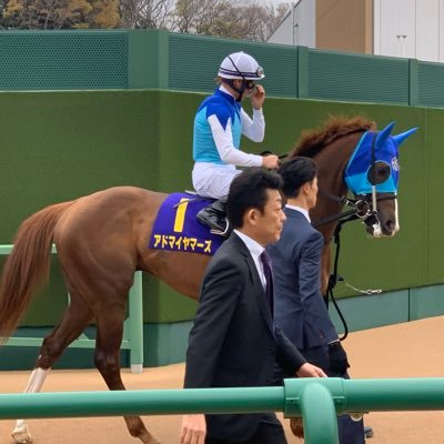 ダービースタリオンマスターズ🐴スタートしました🤔ダビマス勢の皆さん宜しくお願いします🙇アドマイヤ推しです✨