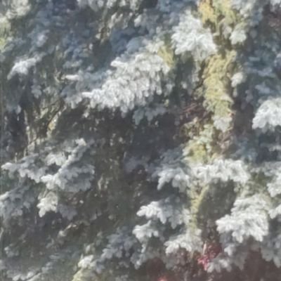 IExternalized's profile picture. A dump blog to write out concerns, just seeing if there is a common chain of expressed worries in writing could maybe help understand myself better