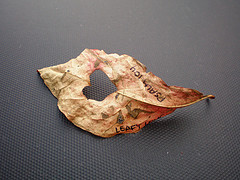 wupower's profile picture. Health communications, writing, photography, public health, and bright ideas.