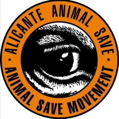 ONG ☮. Activistas antiespecistas por la liberación animal y humana🏴. ¡Hasta que toda jaula quede vacía! 💪🏼/ FB: Alicante Animal Save 🌍