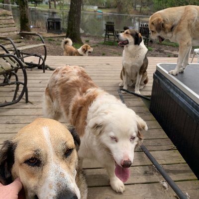 redman_ar's profile picture. All posts are my opinion, not financial advice.....