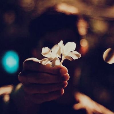 Aradia_kaida's profile picture. ARADIA🌸
ESTJ