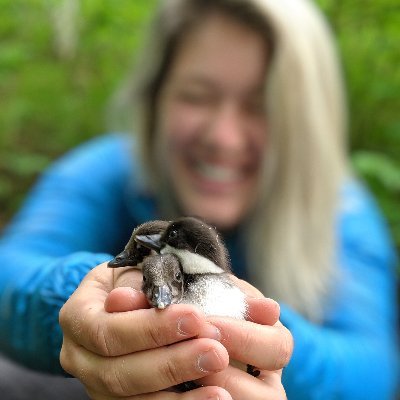 Aspiring Wildlife biologist
Bird nerd
She/her
#blacklivesmatter