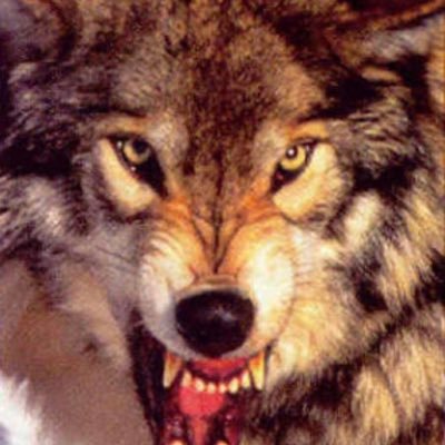 BrianJames92677's profile picture. 