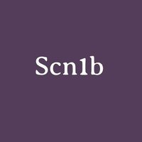 SCN1B (@b_scn1) 's Twitter Profile Photo SCN1B (@b_scn1) 's Twitter Profile Photo
