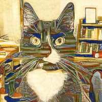 Owen Mayer (@owen_swapped) 's Twitter Profile