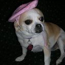 Stephanie Lapham - @Beerhussy - Twitter