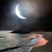 Zofre Demir (@zofreecomba) Twitter profile photo