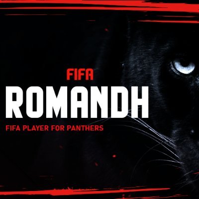 🎮Streamer de todo tipo de contenido
🏞Residente en Alemania
⚽️Capitan y Fundador de Panthers e-Sports