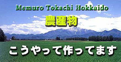 北海道十勝めむろで農業しとります！ビート、じゃがいも、あずき、小麦を作っています。十勝ではいたって普通の農家です。ホームページ始めて１6年目ですがhttps://t.co/iFbslJmasEツイッターは初心者です～