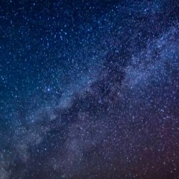 Night_D2's profile picture. 