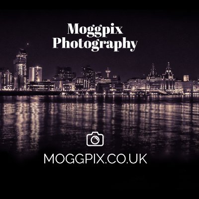 Moggpix Profile Picture