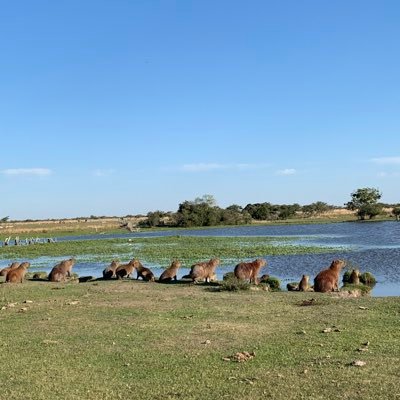 carlosmartinv18's profile picture. 